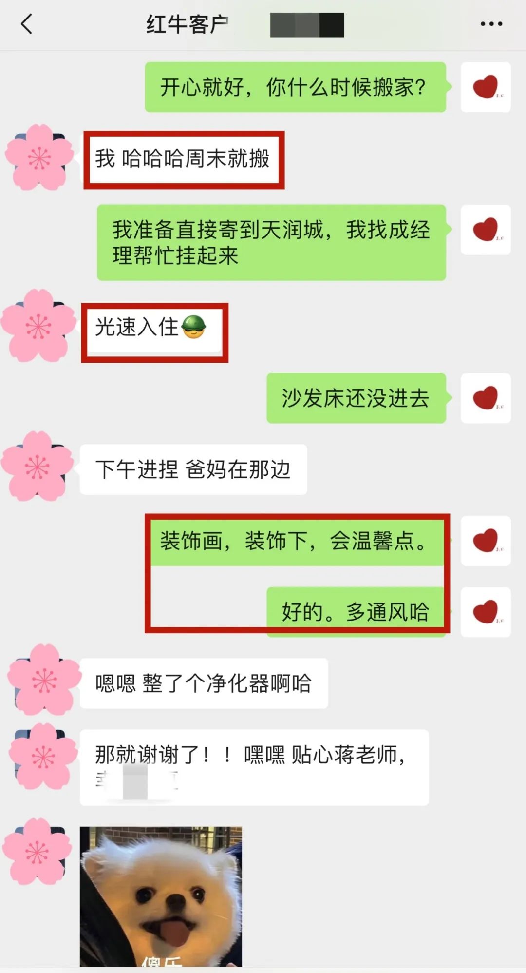 喜報｜金秋十月，收獲滿滿，紅牛裝飾再獲三面錦旗！05